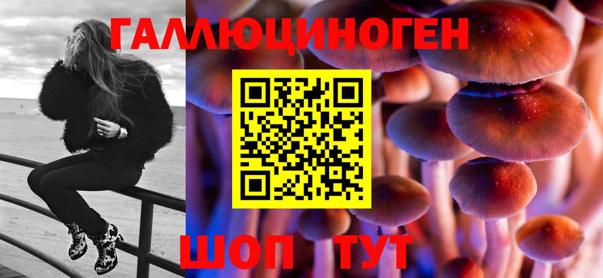 Псилоцибиновые грибы Psilocybine cubensis  Вход с VPN  Мелеуз 